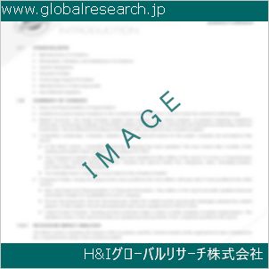 グローバルリサーチ調査資料のイメージ